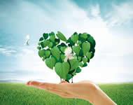 How to control the flexo ink fineness and viscosity